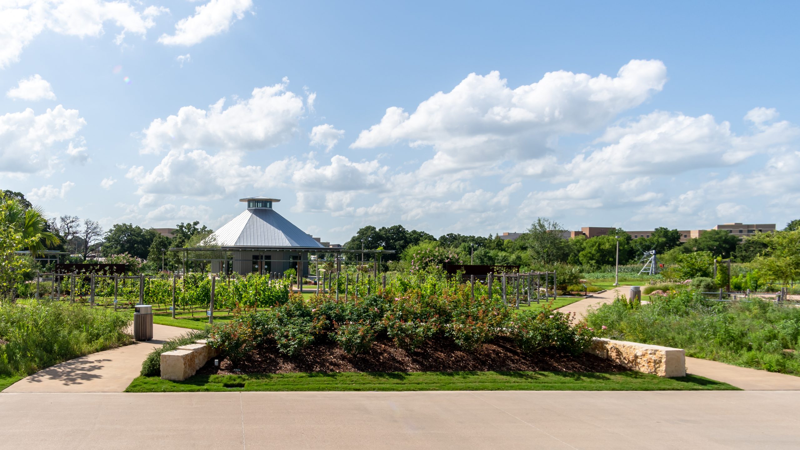 Texas A&M Agriculture Headquarters KW Landscape Architects